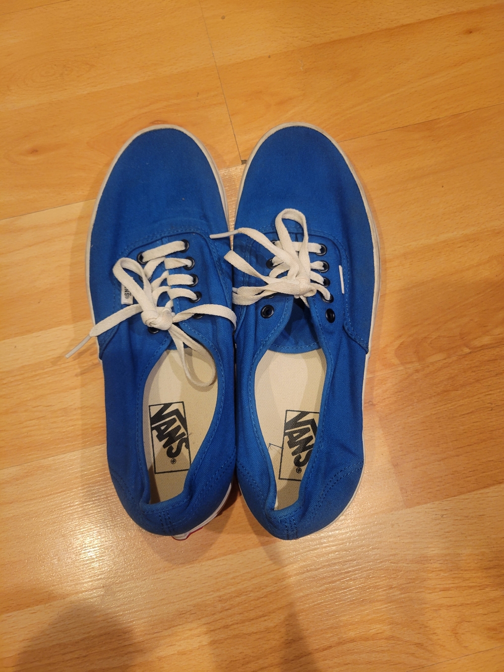 Vans Blue Canvas Low-Top Sneakers with White Accents